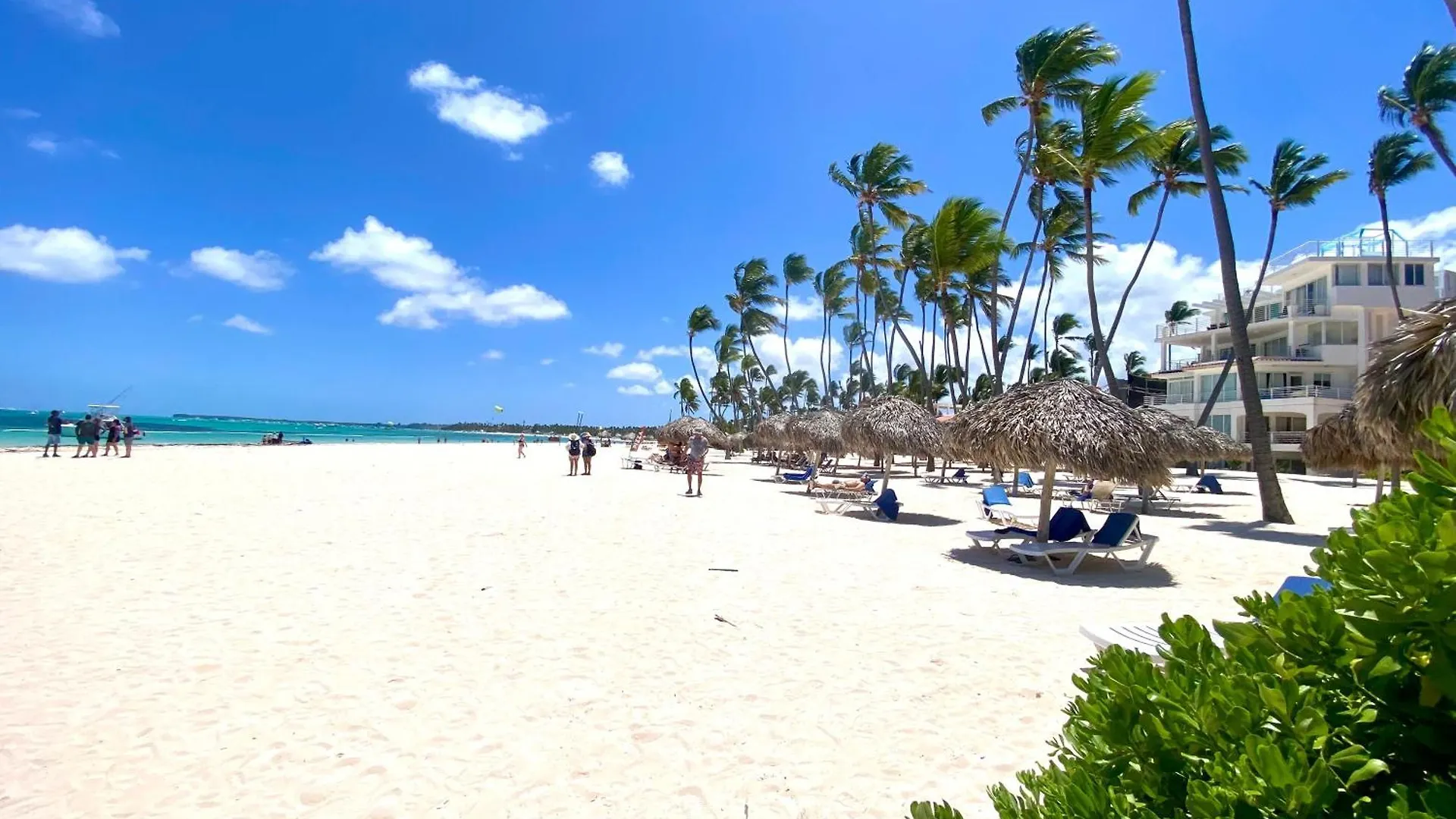 公寓 Oasis Punta Cana Central Los Corales 多米尼加共和国